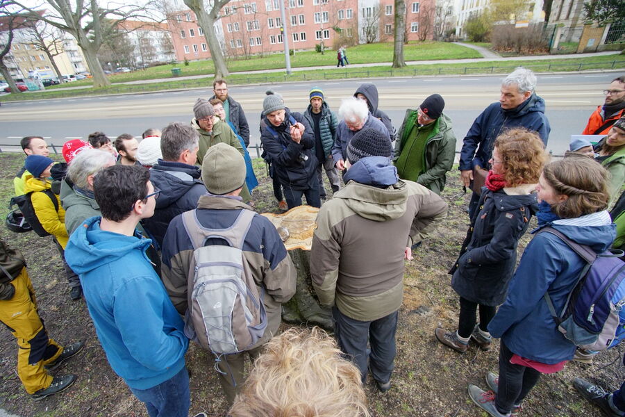 Die Themen der Exkursion waren interessante (Stadt-)Baumarten, Fragen der Verkehrssicherungspflicht, Eingehende Untersuchungen, Regenwassernutzung für Stadtbäume und Aktuelles aus der Baumpflege.