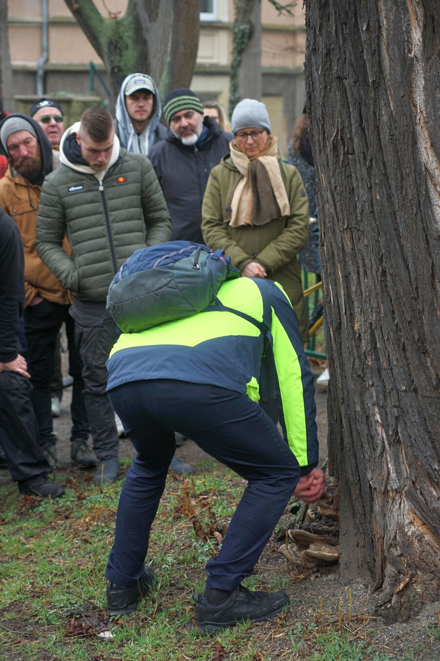 Baumkontrolle ist ein Handwerk mit allen Sinnen.